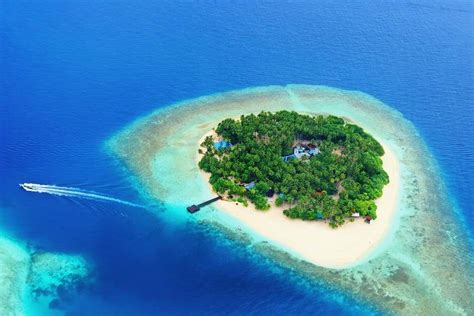 Tropical island in the Maldives | Insight Guides | Private island, Island, Small island