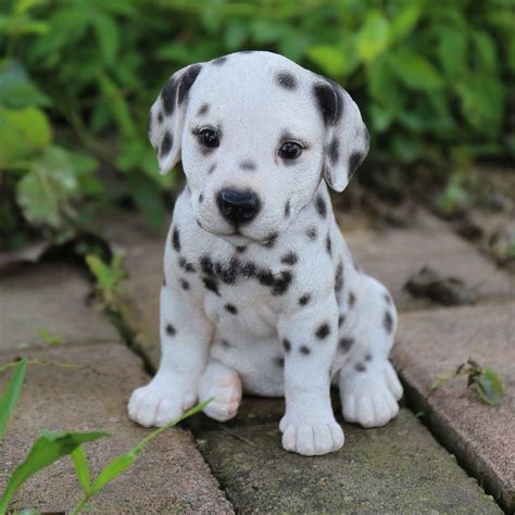 Dalmatian Puppy Statue | Baby animals pictures, Cute animal pictures ...