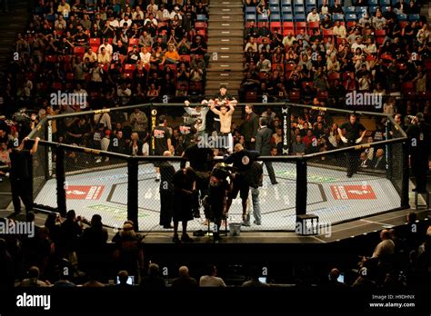 The Octagon ring during the Ultimate Fighting Championship UFC 65 at ...