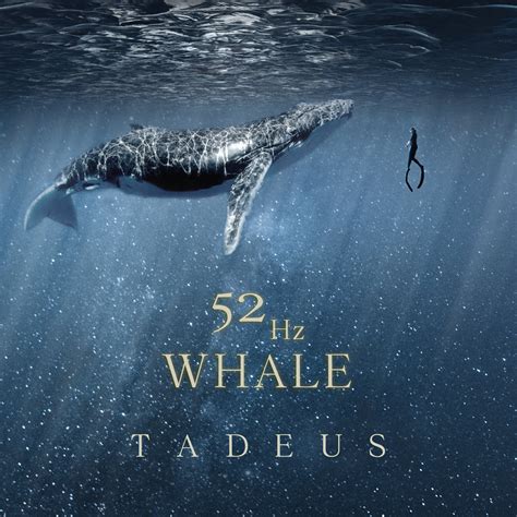 Whale #52 | Tadeus