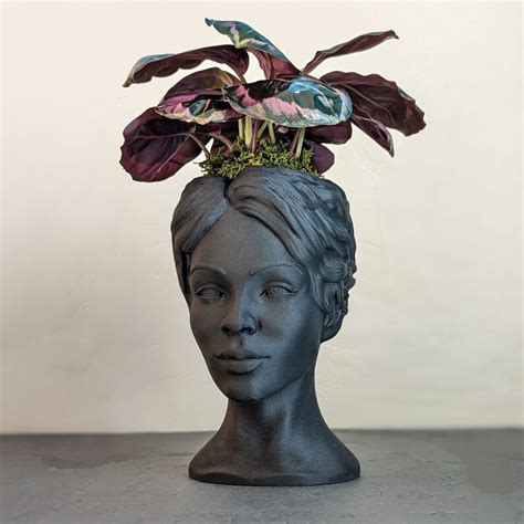 Goddess Bust Planter Lady Head Pot in Black Wood - Etsy