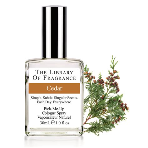 Cedar | The Library Of Fragrance