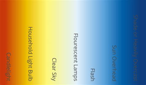 Understanding White Balance and Color Temperature in Digital Images | B ...