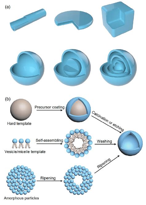 (Color online) (a) Schematic illustration of different kinds of hollow ...