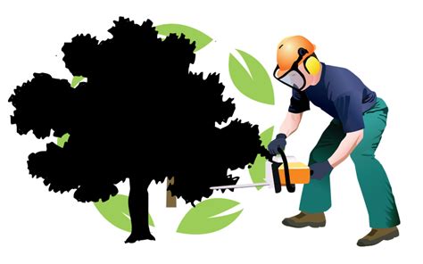 Tree Removal Cliparts | Free download on ClipArtMag