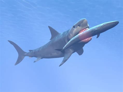 Megalodon vs Leviathan - Quem ganha?