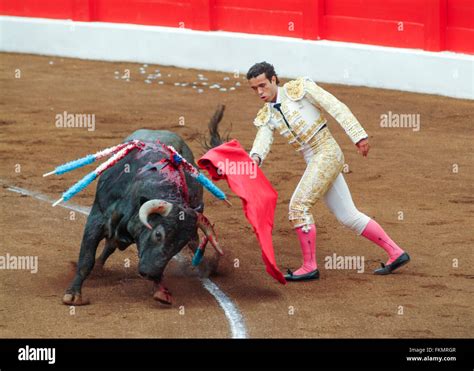 Bullfight, Matador and bull in the arena, Santander, Cantabria, Spain Stock Photo - Alamy