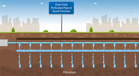 8 Septic Tank Maintenance Tasks to Do Regularly