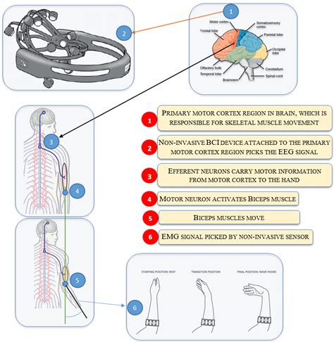 Motor imagery can help in actual occupational therapy activities [14]. | Download Scientific Diagram