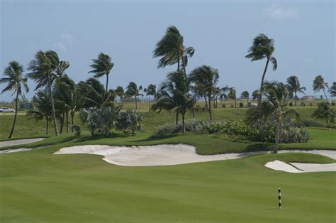 Golf Course Maintenance — Caribbean Landscape