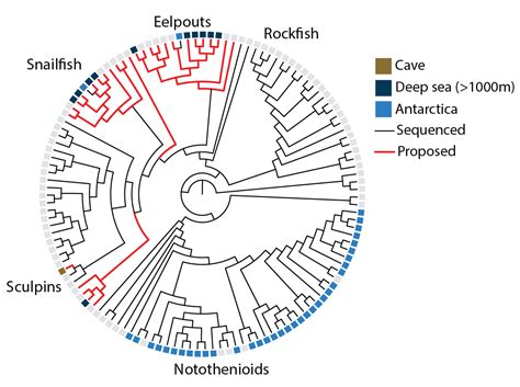 Evolution in the extremes - The Harris Laboratory