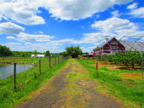 Our Visit To Terhune Orchards in Princeton - Happy Family Art