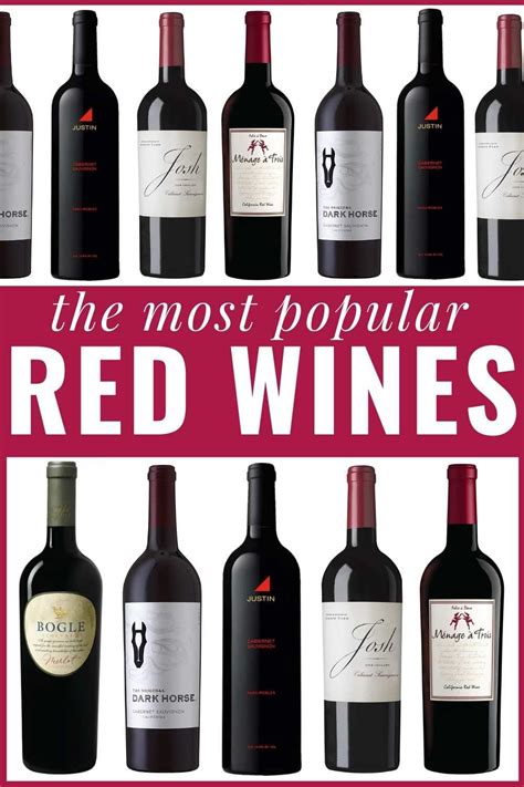 Best Red Wines - Top Picks for Beginners