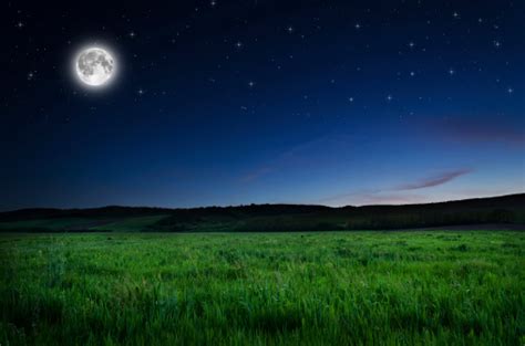 Night Background Stock Photo - Download Image Now - Night, Meadow, Grass - iStock