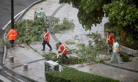 Typhoon Saola makes landfall in southern China - GulfToday