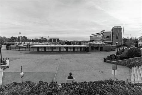 Duke Football Stadium Wide Photograph by John McGraw - Fine Art America