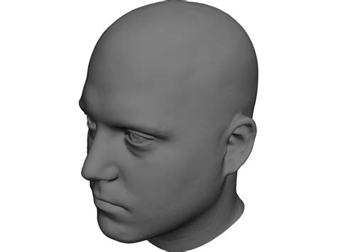 Human Male Scanned Head 3D Model - 3D CAD Browser