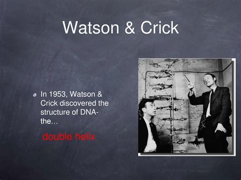 DNA replication, transcription, & translation - ppt download