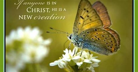 If Anyone is in Christ, he is a new creation. | Inspirational Christian ...