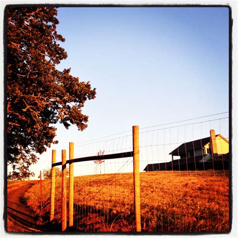A home on a hill, inside the deer fence for the vineyard. Deer Fence, Vineyard, Country Roads ...