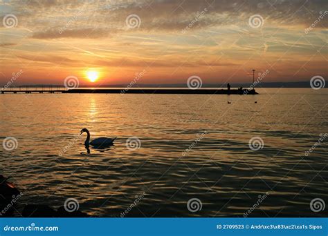 Sunset at Lake Balaton stock image. Image of peaceful - 2709523