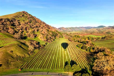 Napa Valley Hot Air Balloon Rides: What to Know Before You Go - NapaValley.com