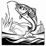 Muskelunge Jumping For A Fishing Lure Coloring Page · Creative Fabrica sketch template