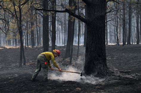 The US Forest Service Planned to Increase Burning to Prevent Wildfires. Will a Pause on ...