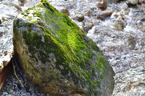 Green Rock Free Stock Photo - Public Domain Pictures