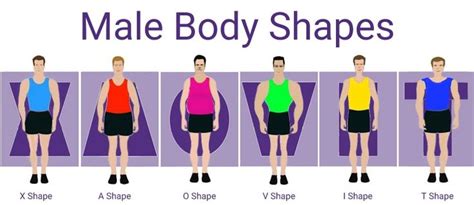 body types men | Male Body Type Calculator | Mens Body Shape Calculator - NEW! | Body shape ...