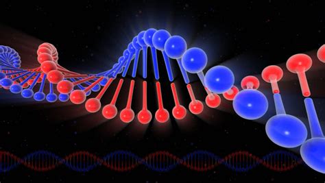 Seamless Looping Animation Of Rotating DNA Strands With Symbols Of Nucleic Acids. Stock Footage ...