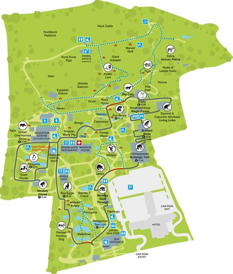 Edinburgh Zoo Map Layout