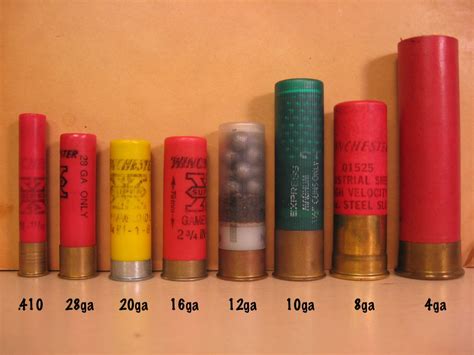 Shotgun shell comparison | Armory Blog