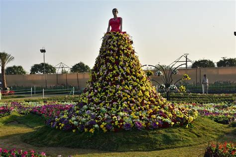 Ahmedabad Flower Show 2019 of AMC opens at Sabarmati Riverfront ...