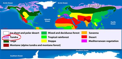 Climate – Nature Journals