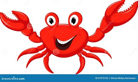 Funny Cartoon Crab Stock Illustration - Image: 67975122