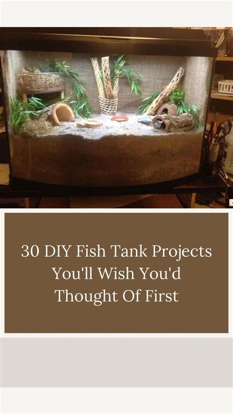 30 DIY Fish Tank Projects You'll Wish You'd Thought Of First