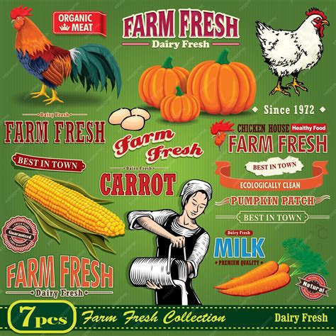 Premium Vector | Vintage farm fresh poster design element set