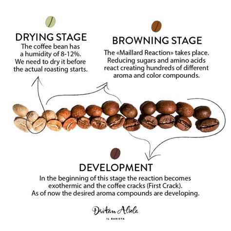 Coffee roasting process! | Coffee roasting process, Coffee beans ...