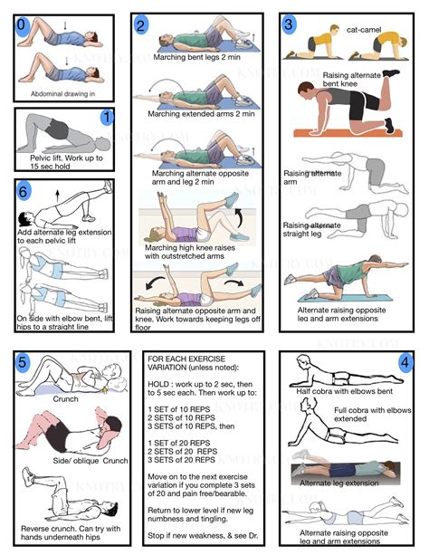 Exercise Plan for Chronic Back Pain — Knotry
