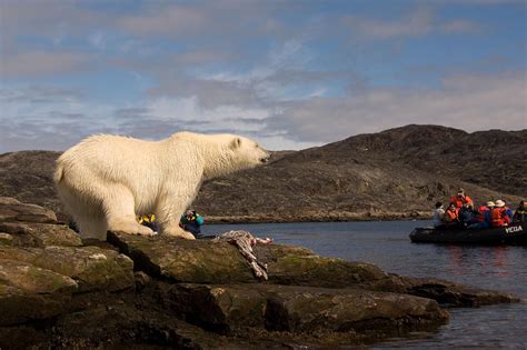 Labrador Sea - WorldAtlas