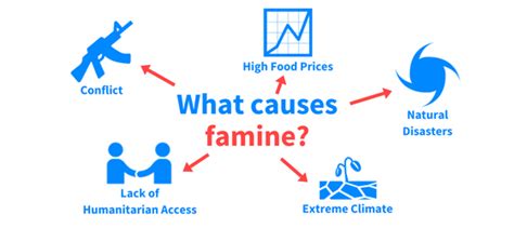 Infographic - What Causes Famine - World Food Program USA