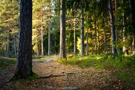 The stunning Liessaari Island in Lohja near Helsinki invites you to explore its nature trails ...