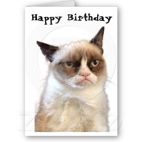 Grumpy Cat Happy Birthday Card | Zazzle | Cat birthday card, Grumpy cat birthday, Grumpy cat