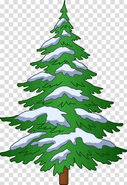 Cartoon Pine Tree Drawing ~ Download High Quality Pine Tree Clip Art Realistic Transparent Png ...