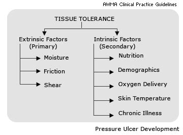 Pressure Ulcer Basics: Intrinsic Factors