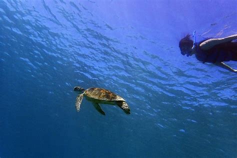 Guam Small-Group Guided Snorkeling Tour 2024