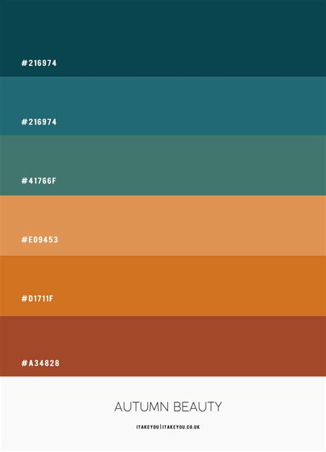 Teal and Pumpkin Colour Combo – #ColourPalette 47 | Hex color palette ...