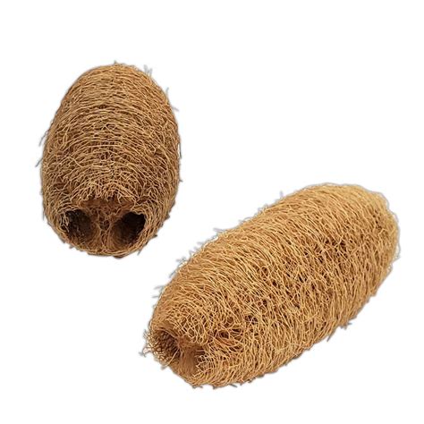 Whole Luffa - BirdToyBuilder.com