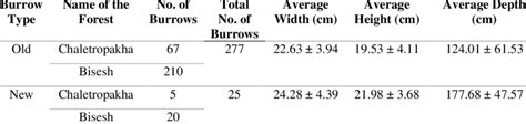 showing the Burrow Characteristics | Download Scientific Diagram